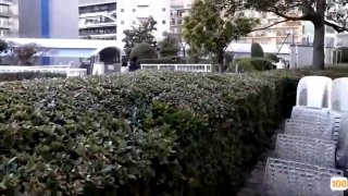 颜射小甜心两男两女4PJQ啪啪，性感黑丝特写口交掰穴特写后人猛操